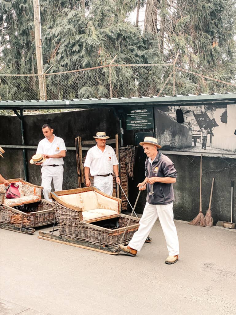 Toboggan in Madeira