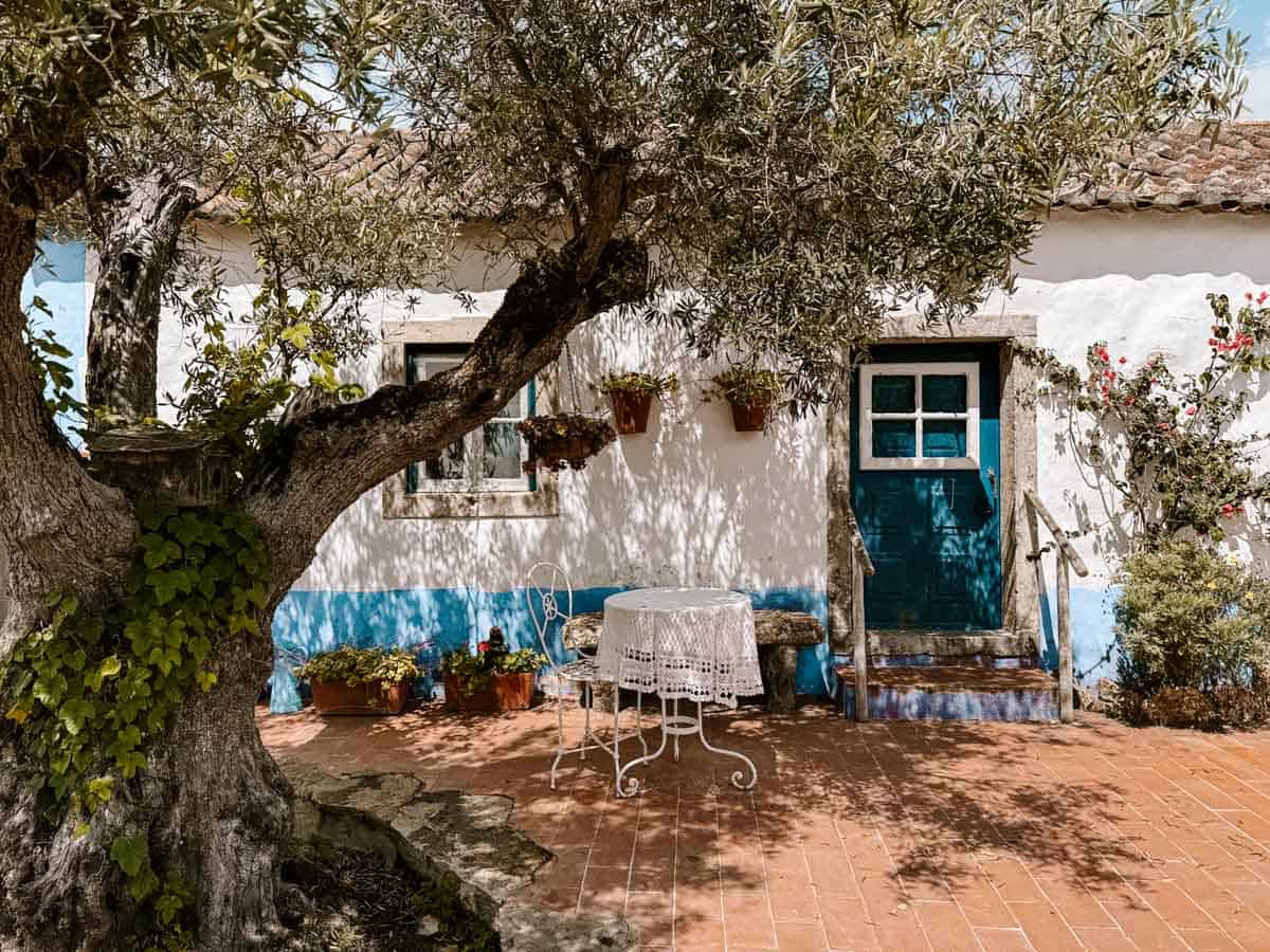 Charming patio in Aldeia da Mata Pequena, Portugal, shaded by a large olive tree with its branches draped in ivy. A white table with lace cloth and matching chairs sits in front of a blue-painted door, surrounded by potted plants and vibrant flowers against a whitewashed wall.