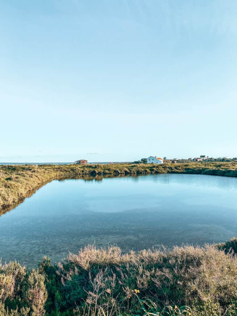 Sado estuarium