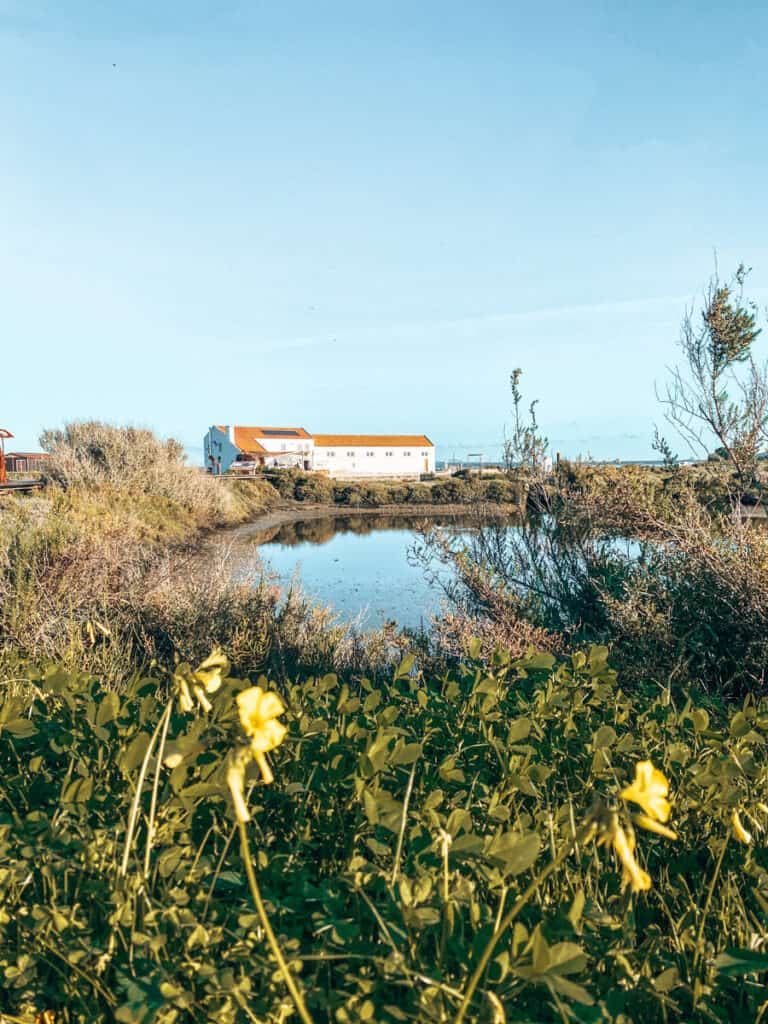 Sado estuarium