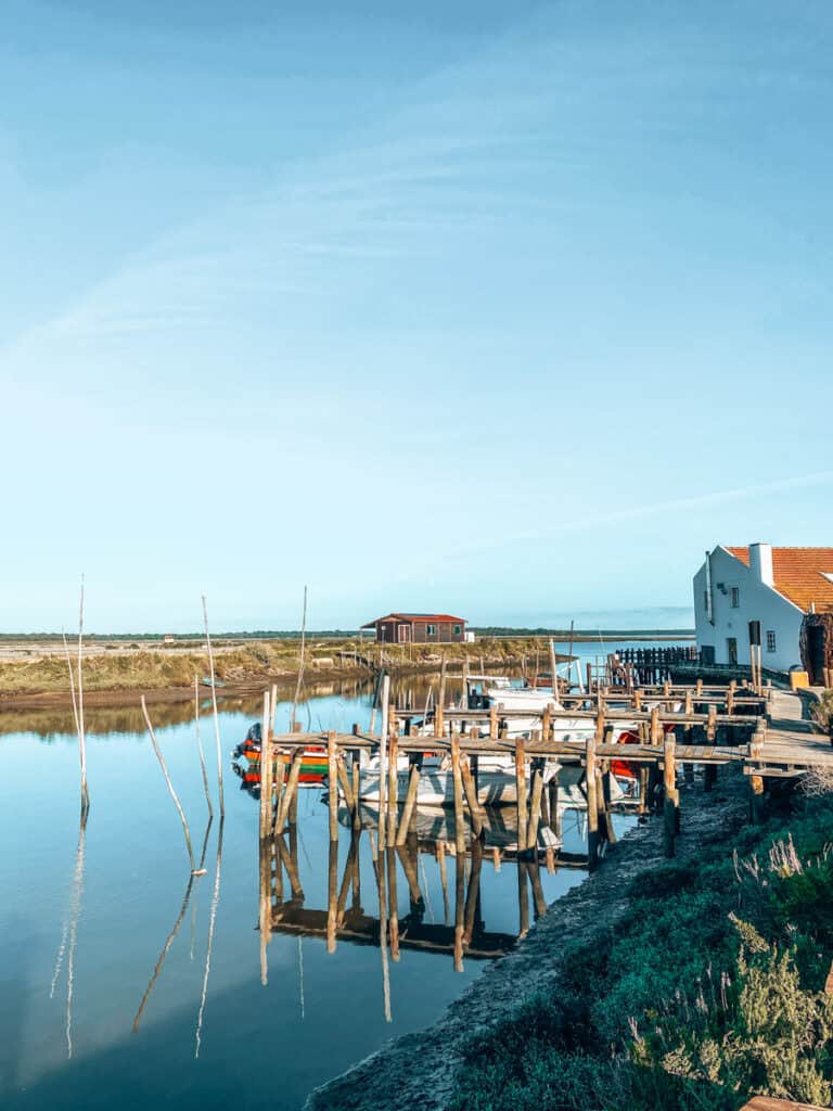 Vogels spotten bij Sado
