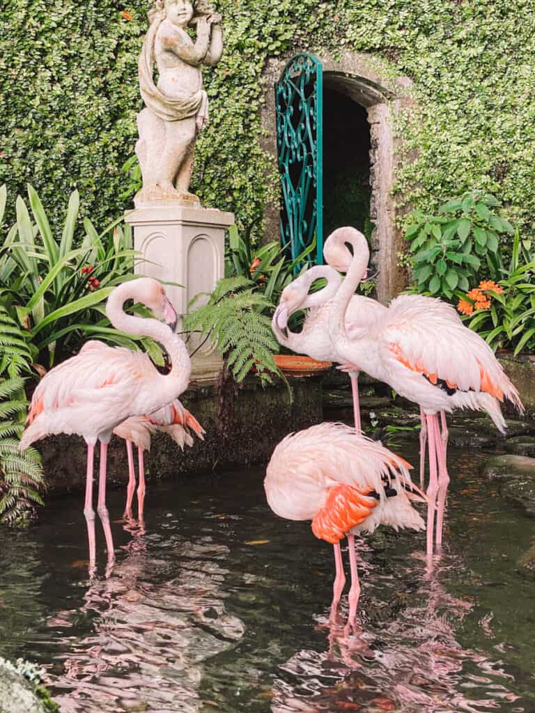 Monte Palace Tropical Gardens