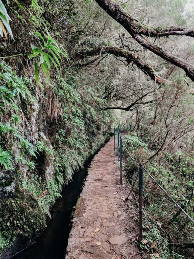 Wandelroutes Madeira
