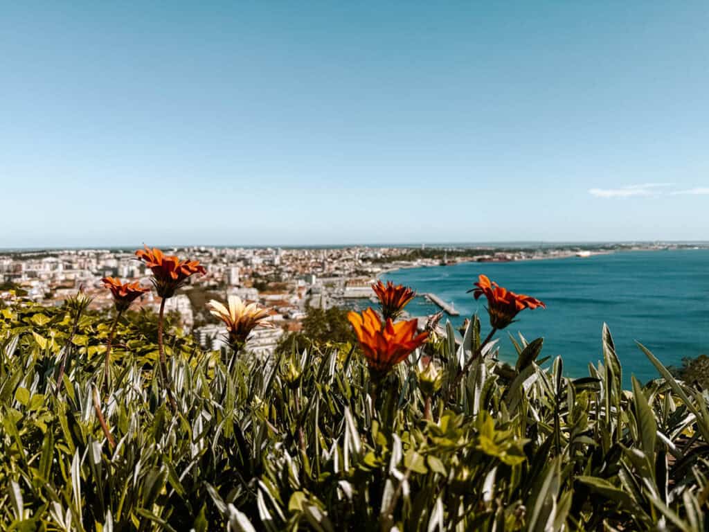 Visit Setúbal and Forte de São Filipe overlooking the city