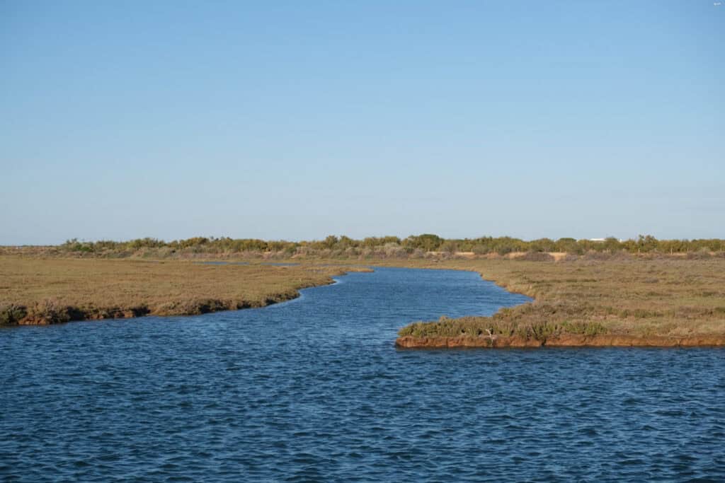 Marshes and wetlands at Ria Formosa Faro