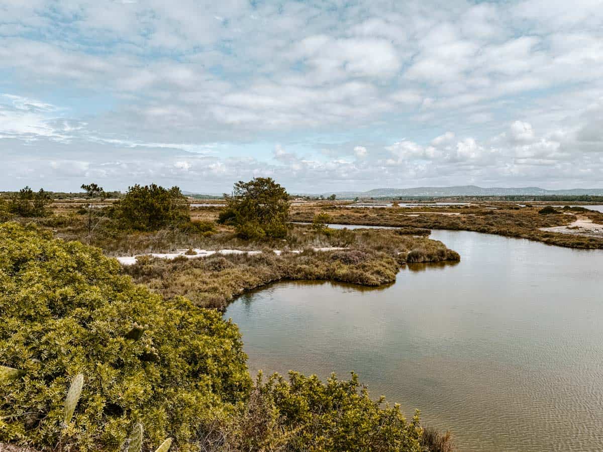 The Ludo trail at the Ria Formosa Natural Park near wetlands and marshes