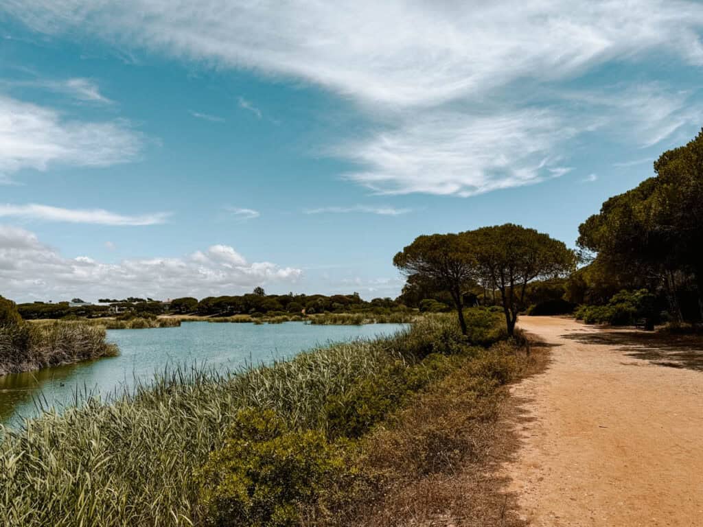 Vogelspotplek langs de Ludo Trail bij de Ria Formosa Algarve