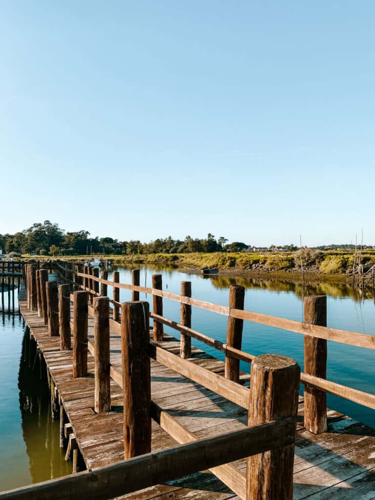 Day trip from Lisbon in January to the Sado Estuary for bird watching
