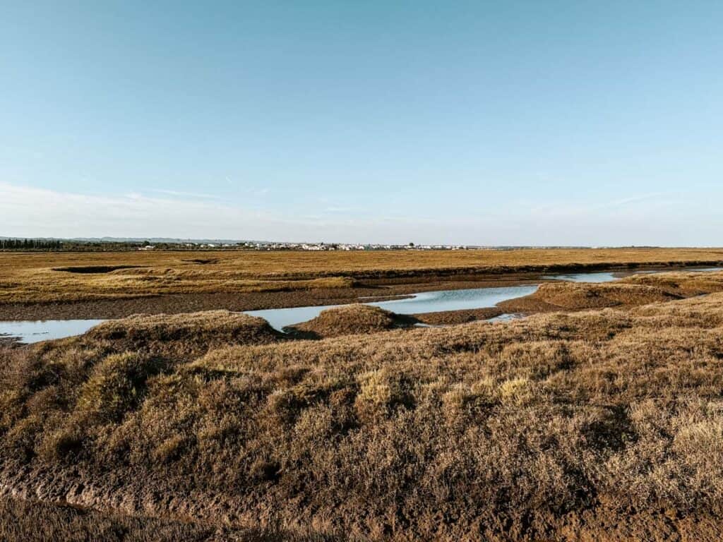 Uitgestrekt landschap van wetlands en zandbanken bij Barril strand in de Algarve, onderdeel van het Ria Formosa Natuurpark.