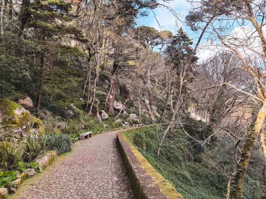 Wandelpad langs de bosrijke helling bij Castelo dos Mouros in Sintra, met een stenen bankje en uitzicht op de groene bossen.