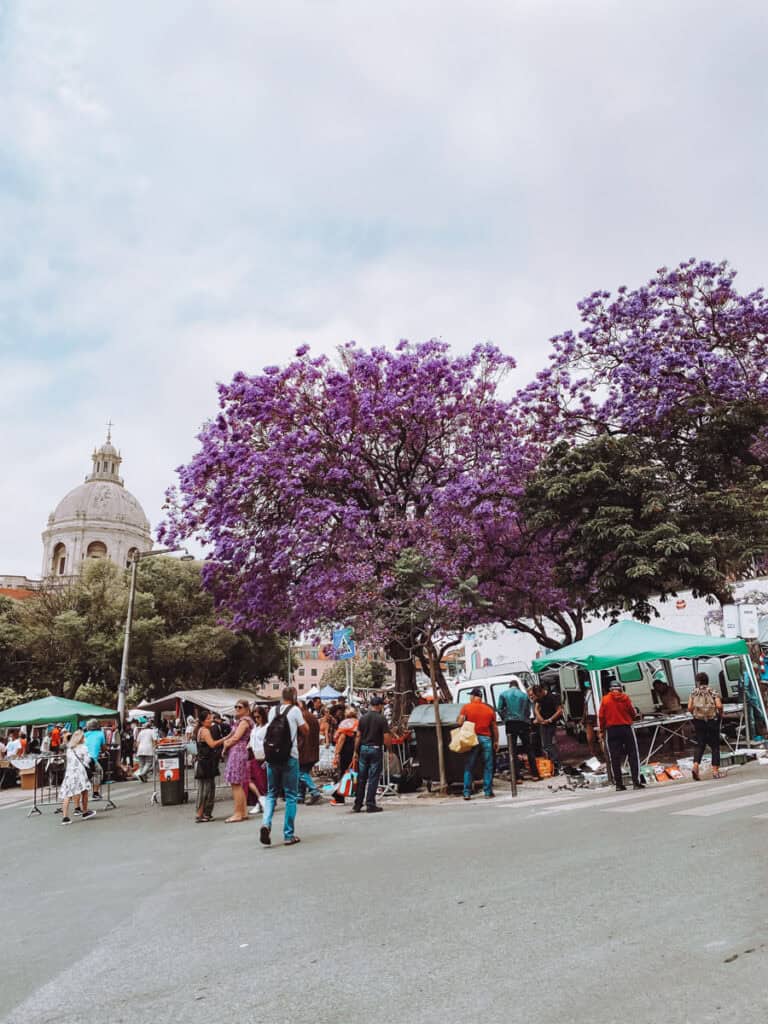 Um dos Mercados de Lisboa ao ar livre com visitantes caminhando entre bancas montadas sob grandes árvores cobertas de flores roxas. A cúpula do Panteão Nacional aparece ao fundo acima das barracas.
