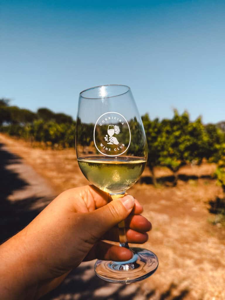 A hand holds a glass of white wine in front of a vineyard under clear blue skies, with “Corrieira Wine Club” printed on the glass. A sunny moment during a Carcavelos wine tasting experience at a Lisbon vineyard.