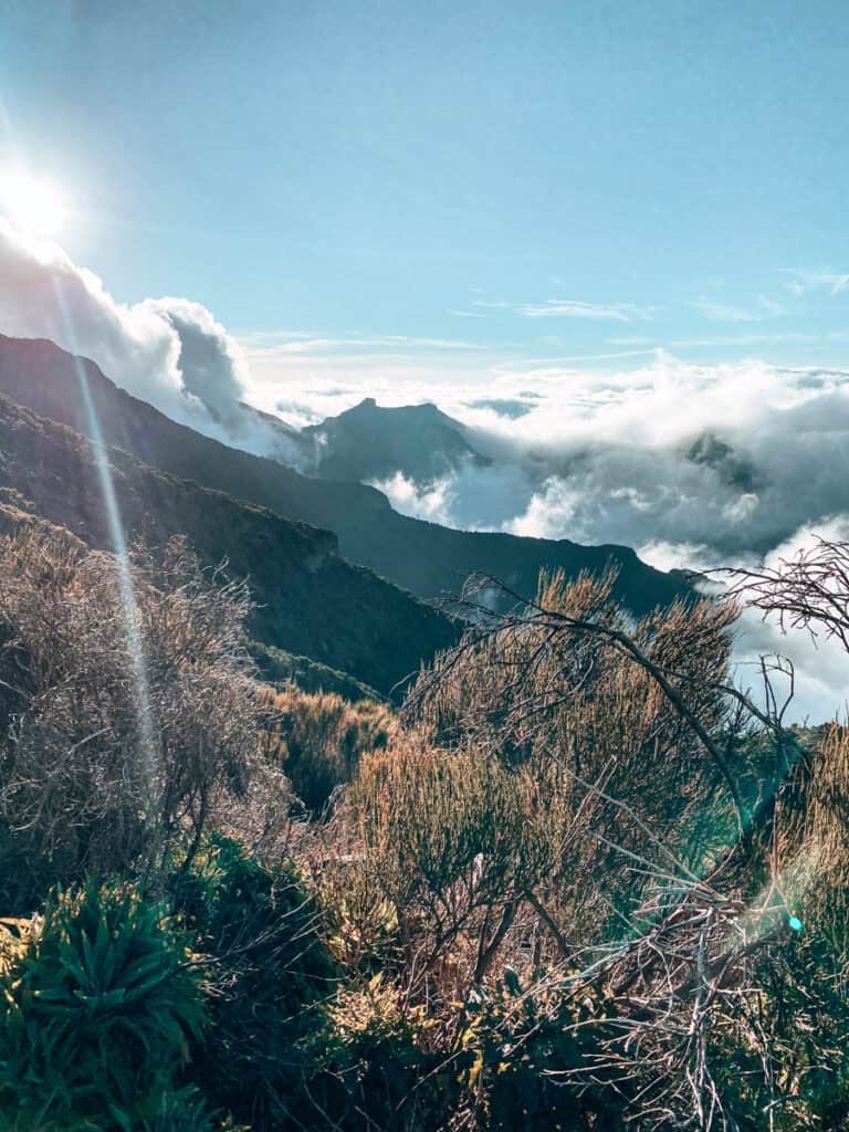 Uitzicht vanaf de Vereda do Pico Ruivo trail op Madeira met de zon die door de wolken schijnt boven de ruige bergtoppen. Op de voorgrond zie je struiken en bergplanten langs het wandelpad, terwijl de wolken tussen de bergen hangen.