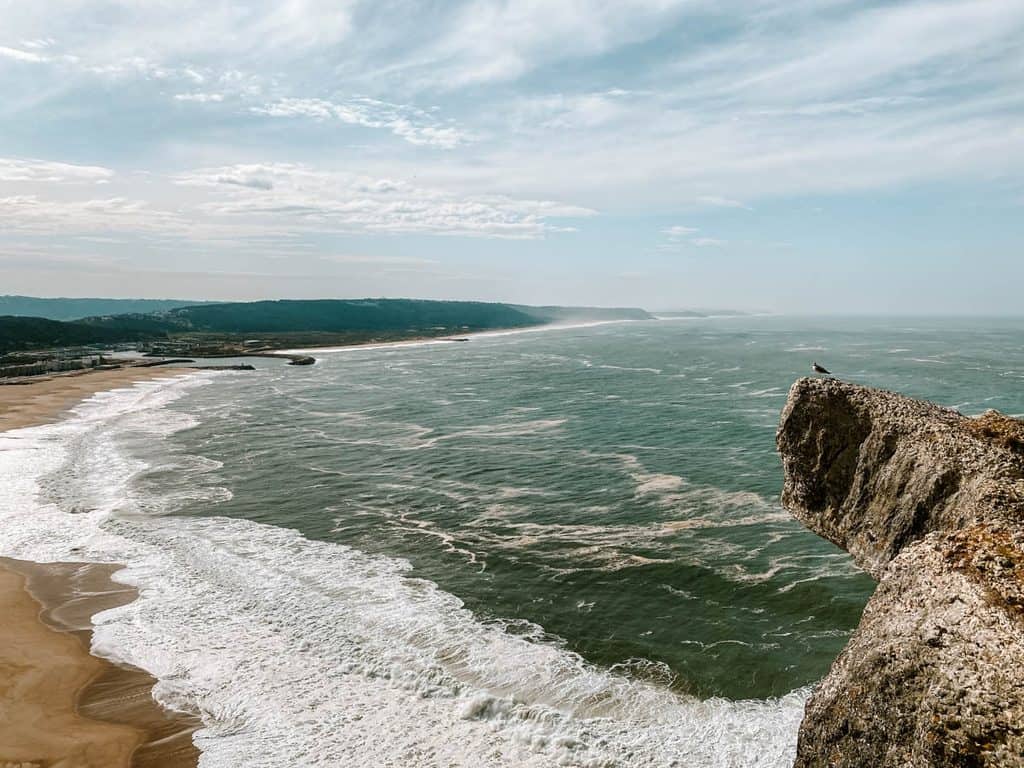 Panoramisch uitzicht vanaf een hoge rotsklif in Nazaré over de Atlantische Oceaan en een kilometerslang zandstrand. Witte golven rollen richting de kust terwijl een meeuw op de uitstekende rots boven het water zit.