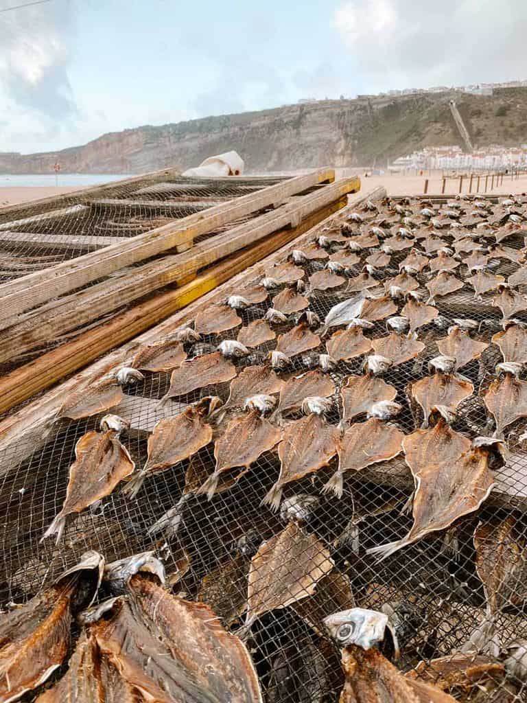 Tientallen opengesneden vissen liggen in nette rijen te drogen op houten rekken met gaas op Praia da Nazaré. Op de achtergrond zie je de hoge kliffen en het strand van het Portugese vissersdorp.