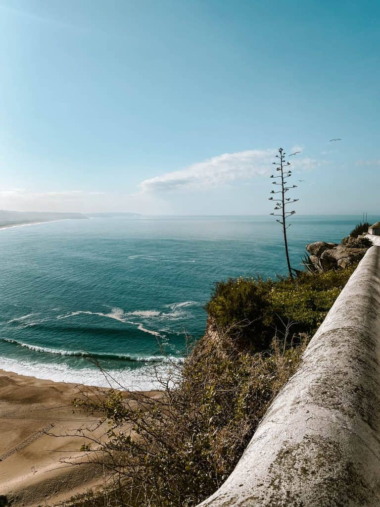 Uitzicht vanaf de kliffen van Nazaré over de Atlantische Oceaan en het zandstrand waar golven richting de kust rollen. Op de voorgrond staan groene struiken en een hoge bloeistengel naast een witte stenen muur bij een van de mooiste uitzichtpunten van Nazaré.